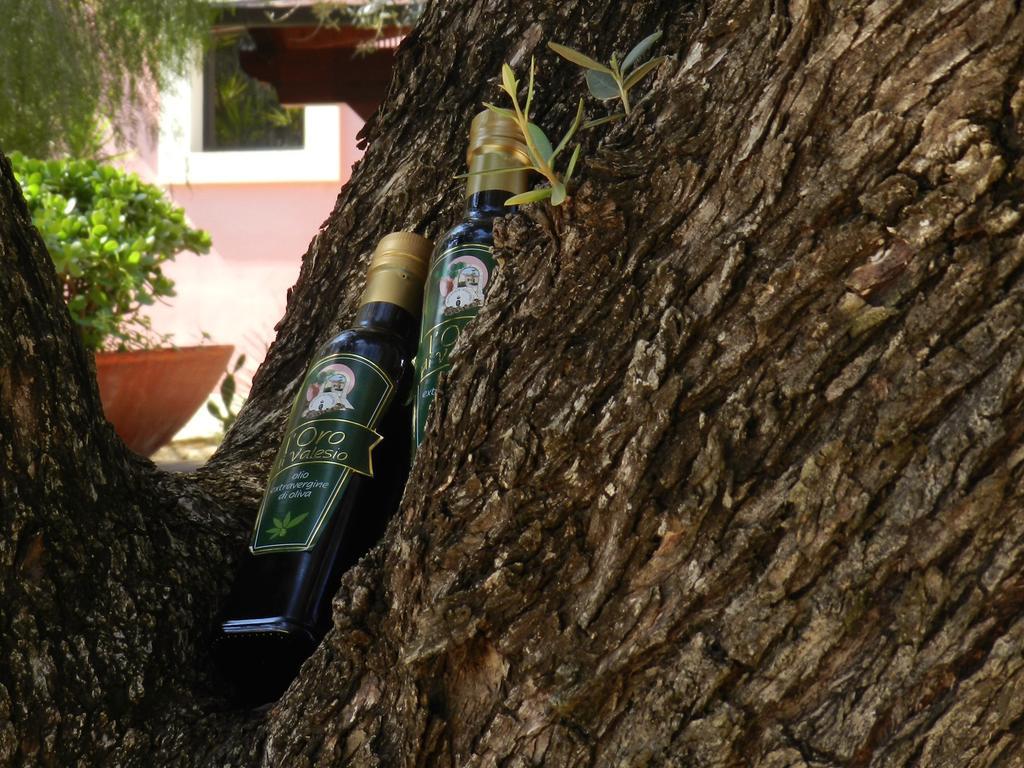 Masseria Pisciani トルキアローロ エクステリア 写真