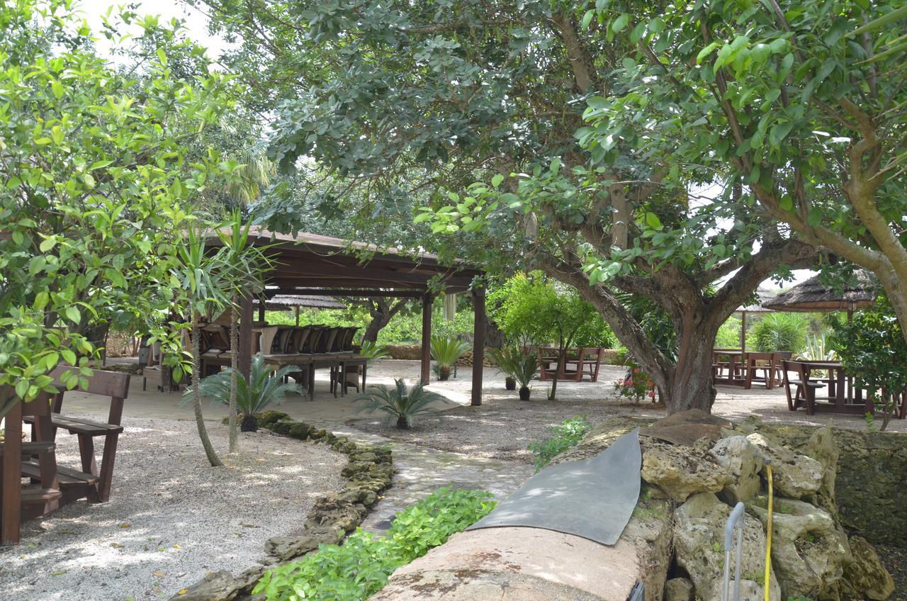 Masseria Pisciani トルキアローロ エクステリア 写真