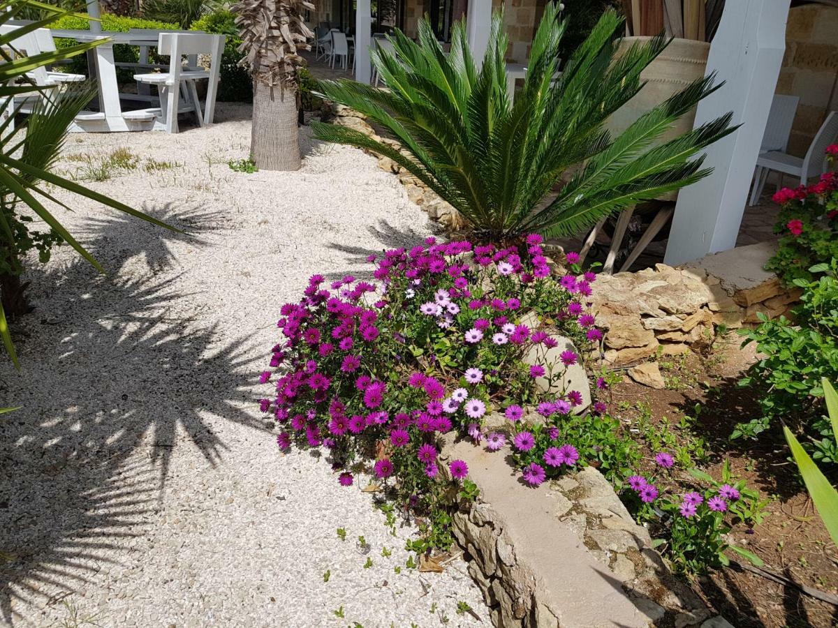Masseria Pisciani トルキアローロ エクステリア 写真